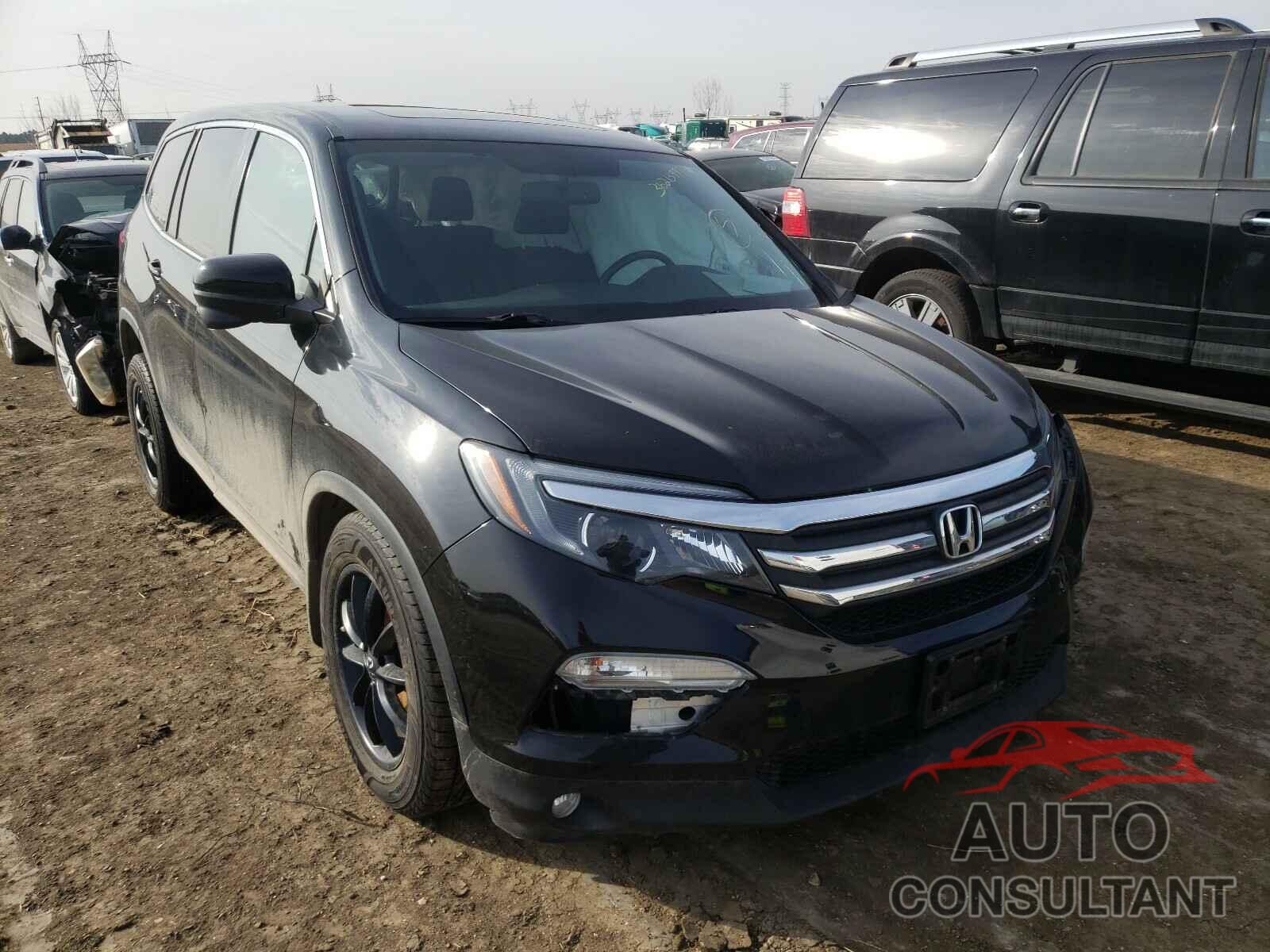 HONDA PILOT 2016 - 5FNYF6H59GB037838