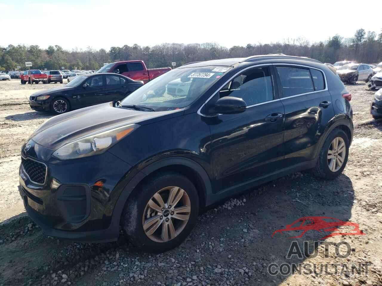 KIA SPORTAGE 2017 - KNDPM3ACXH7080035