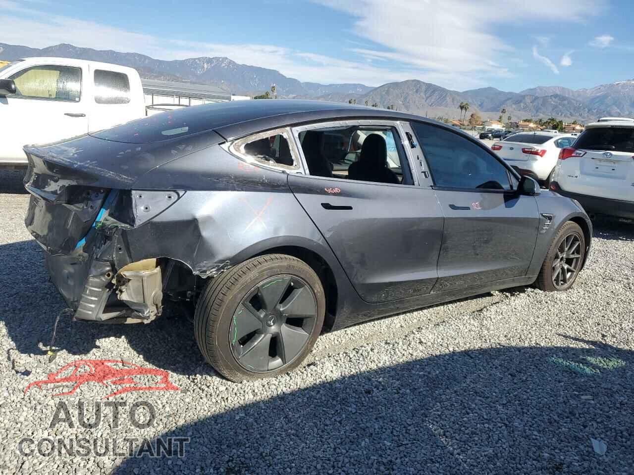 TESLA MODEL 3 2021 - 5YJ3E1EA3MF017419
