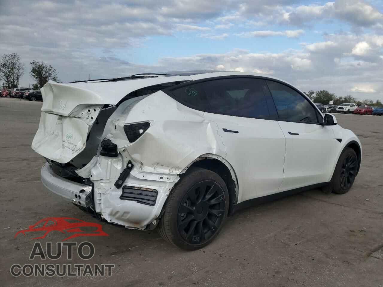 TESLA MODEL Y 2021 - 5YJYGDEEXMF273495