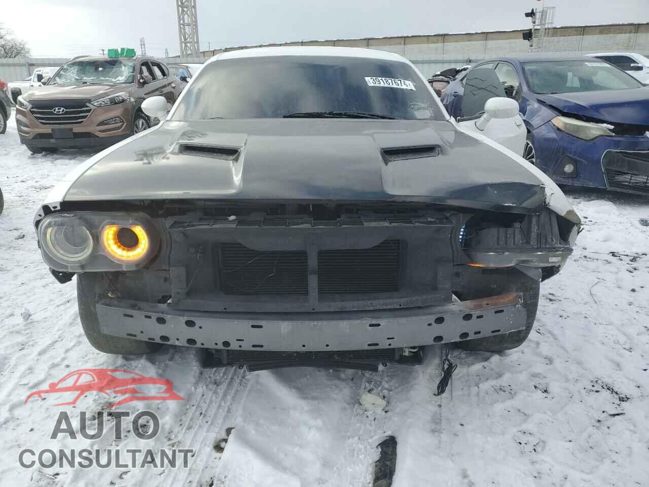 DODGE CHALLENGER 2019 - 2C3CDZBT3KH629526