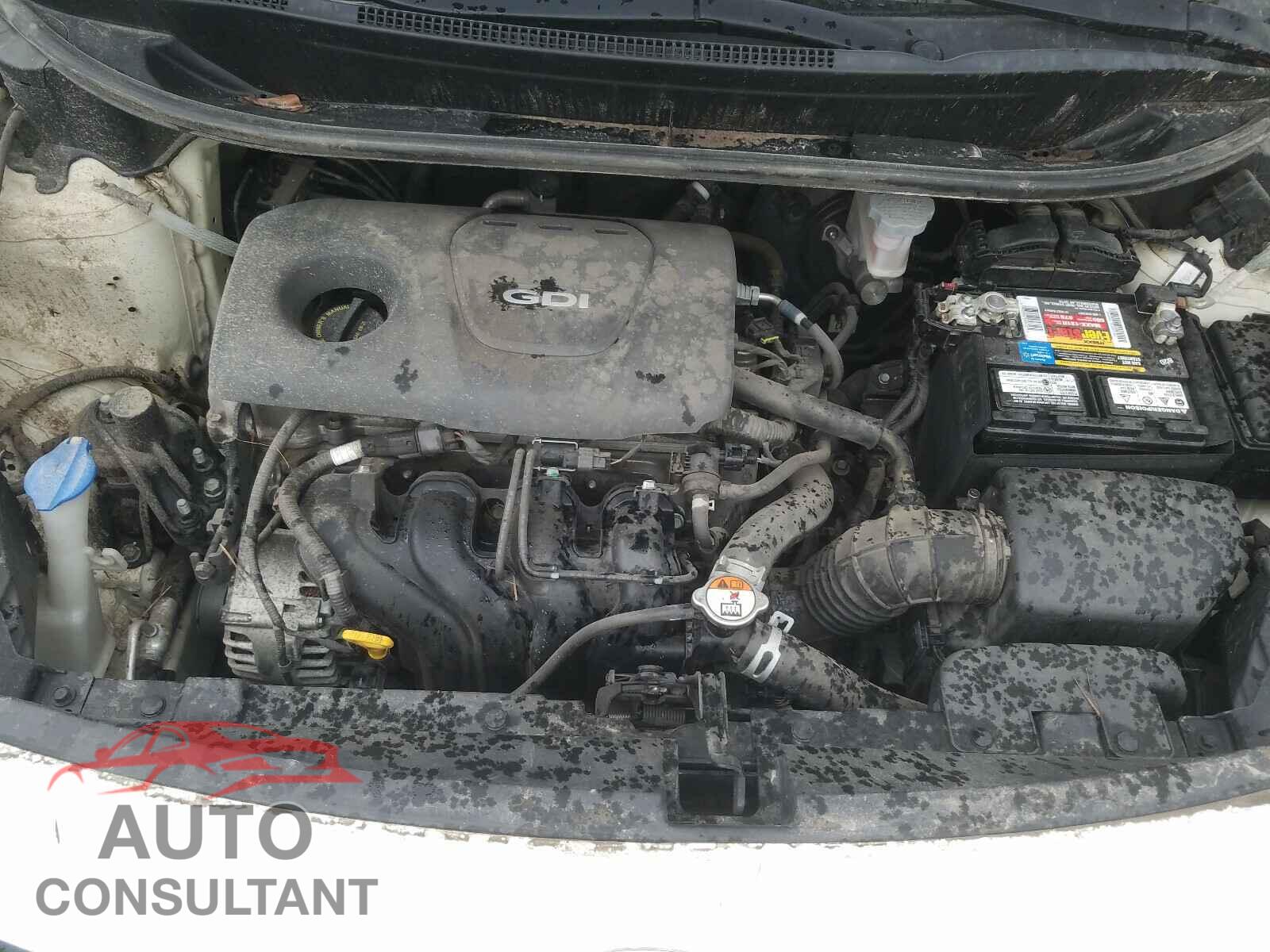 KIA RIO 2017 - KNADM4A38H6071605