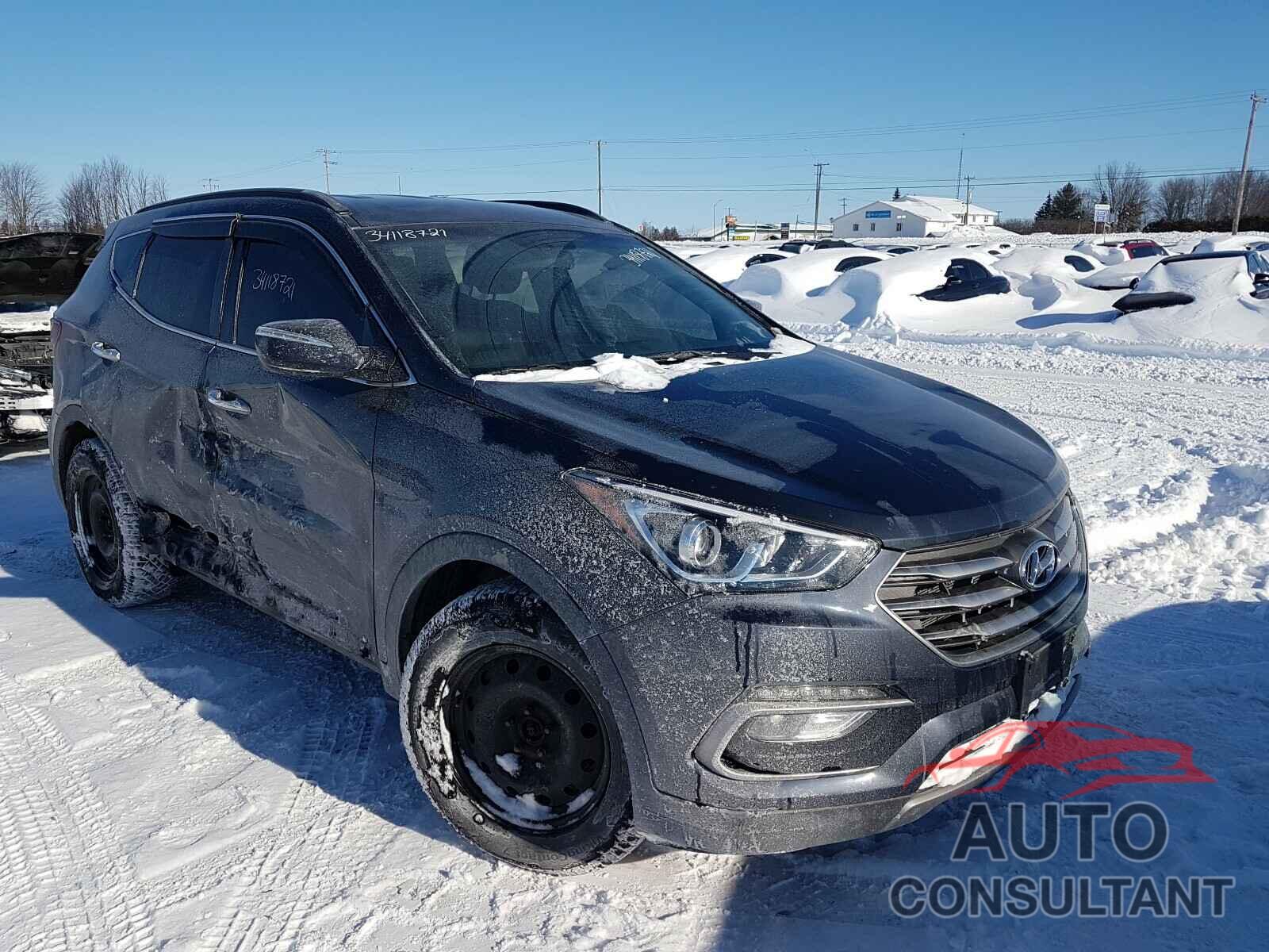 HYUNDAI SANTA FE 2017 - 5NMZUDLB6HH049912
