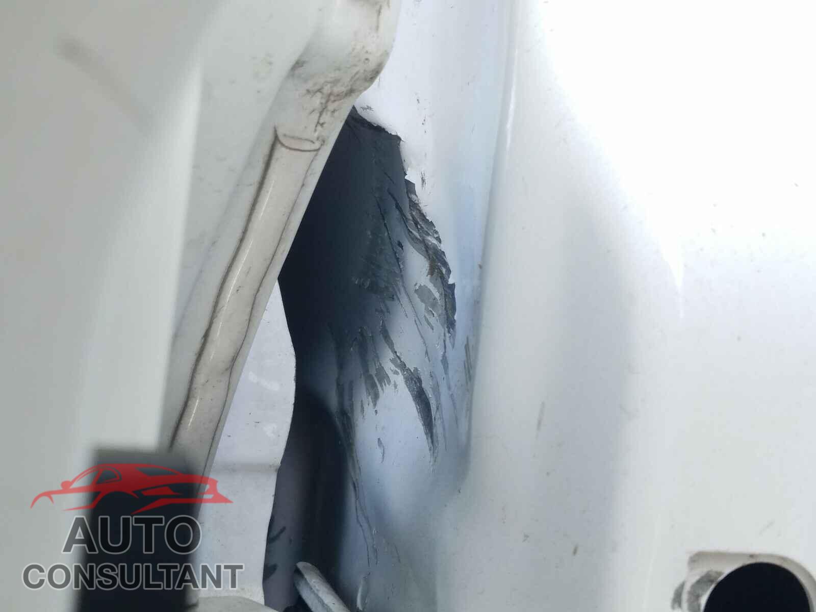 FORD TRANSIT CO 2016 - NM0LS7E79G1247198