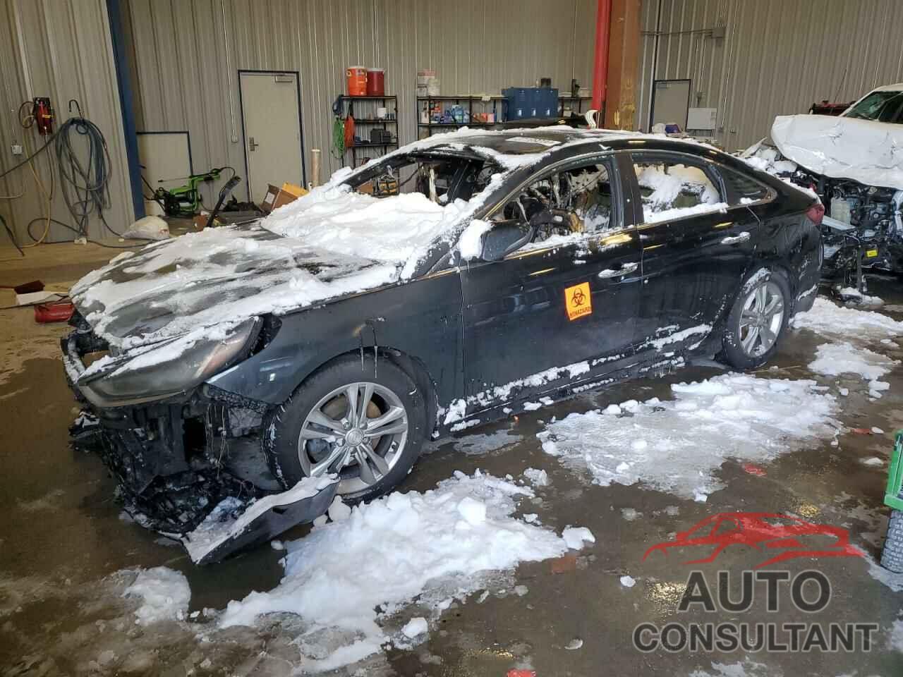 HYUNDAI SONATA 2018 - 5NPE34AF3JH615167