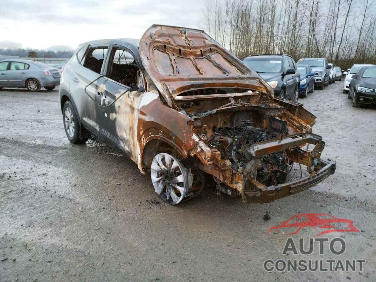 HYUNDAI TUCSON 2019 - KM8J23A47KU904095