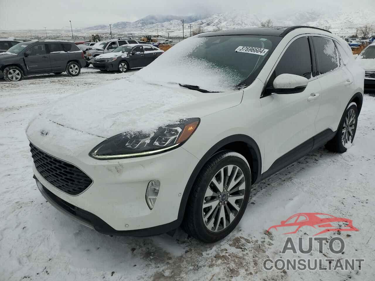 FORD ESCAPE 2020 - 1FMCU9DZXLUA77692