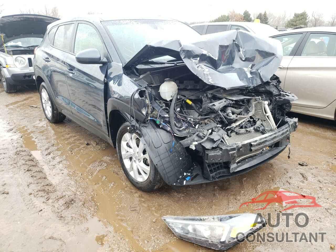 HYUNDAI TUCSON 2019 - KM8J2CA43KU889594