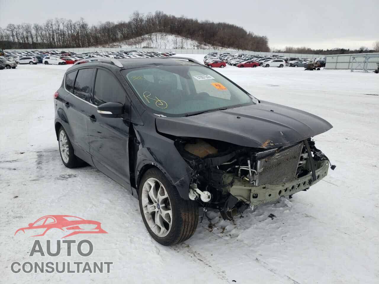 FORD ESCAPE 2014 - 1FMCU0J91EUE38620