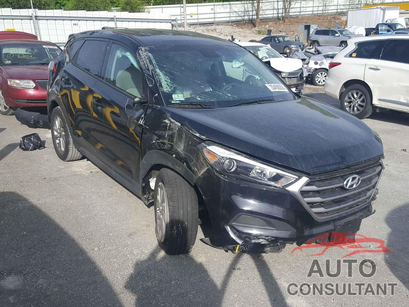 HYUNDAI TUCSON 2017 - KM8J23A47HU407833