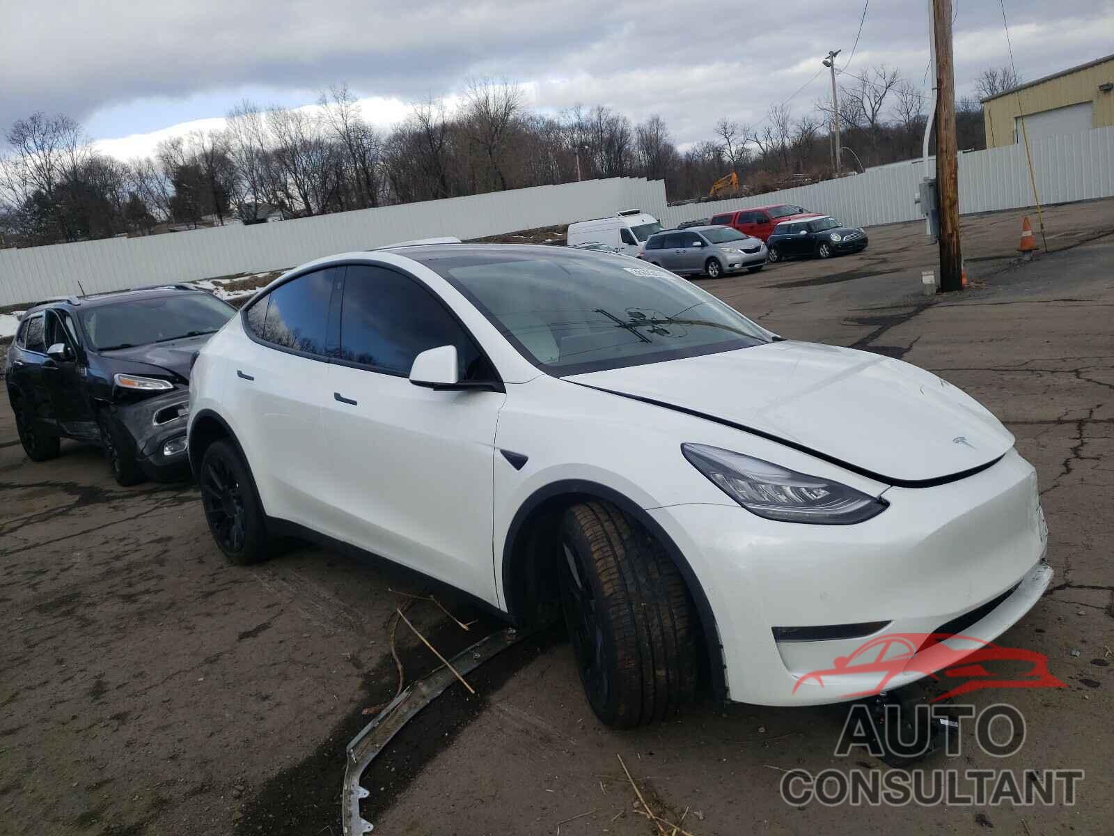 TESLA MODEL Y 2021 - 5YJYGDEE3MF089824