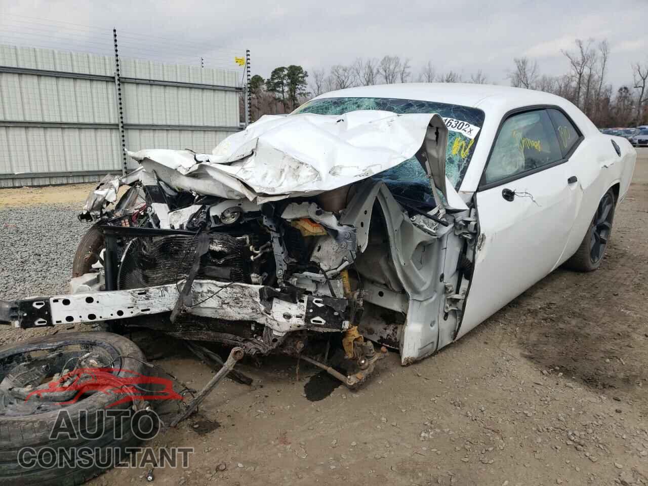 DODGE CHALLENGER 2019 - 2C3CDZBT9KH513473