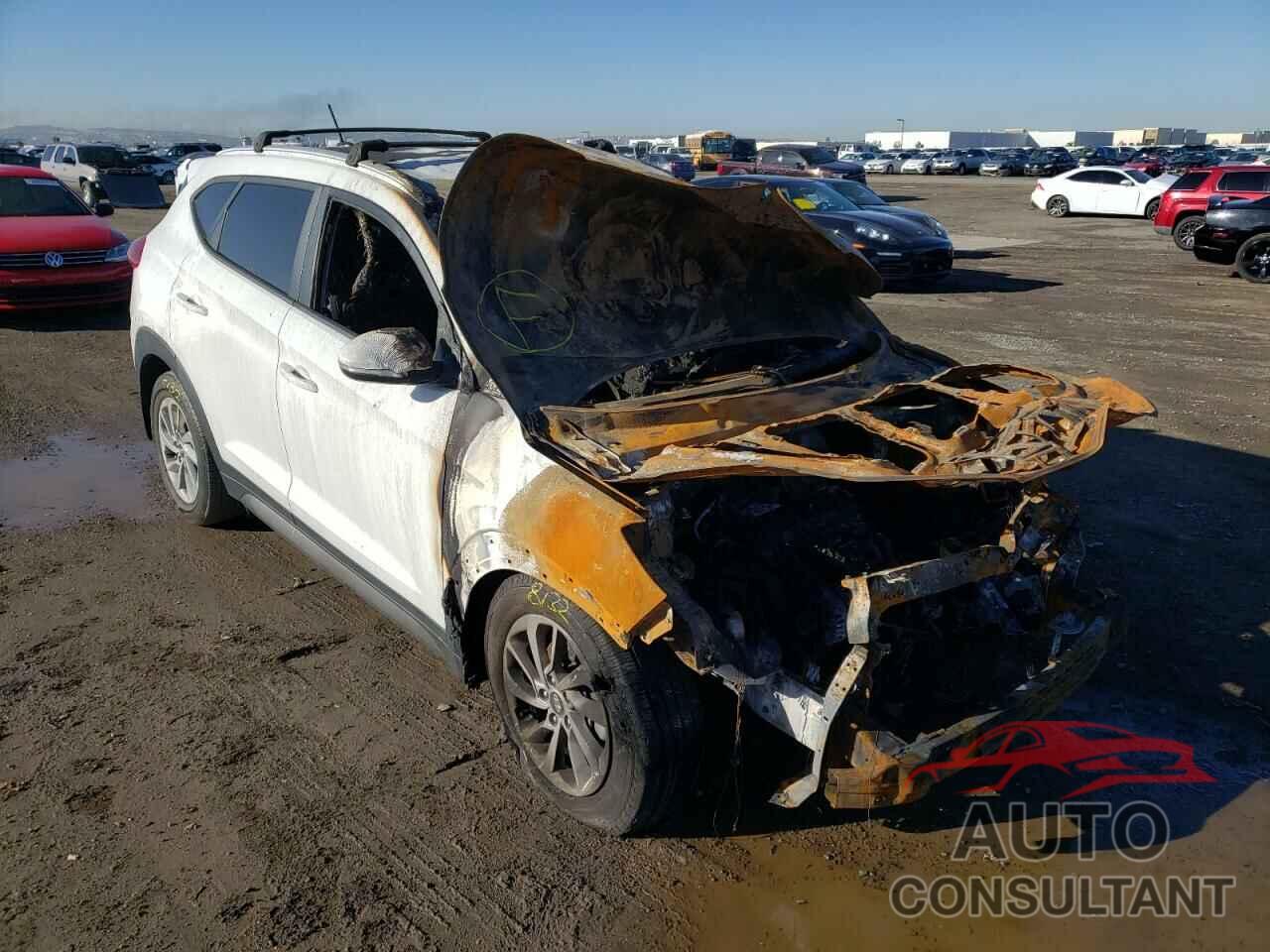HYUNDAI TUCSON 2016 - KM8J33A27GU233403