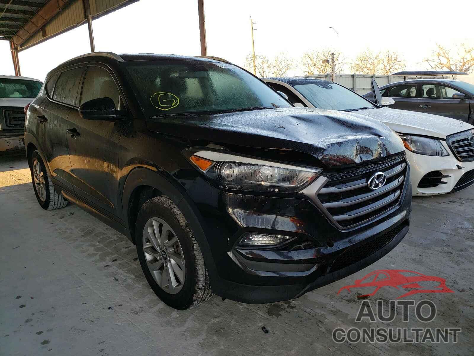 HYUNDAI TUCSON 2016 - KM8J33A44GU062546