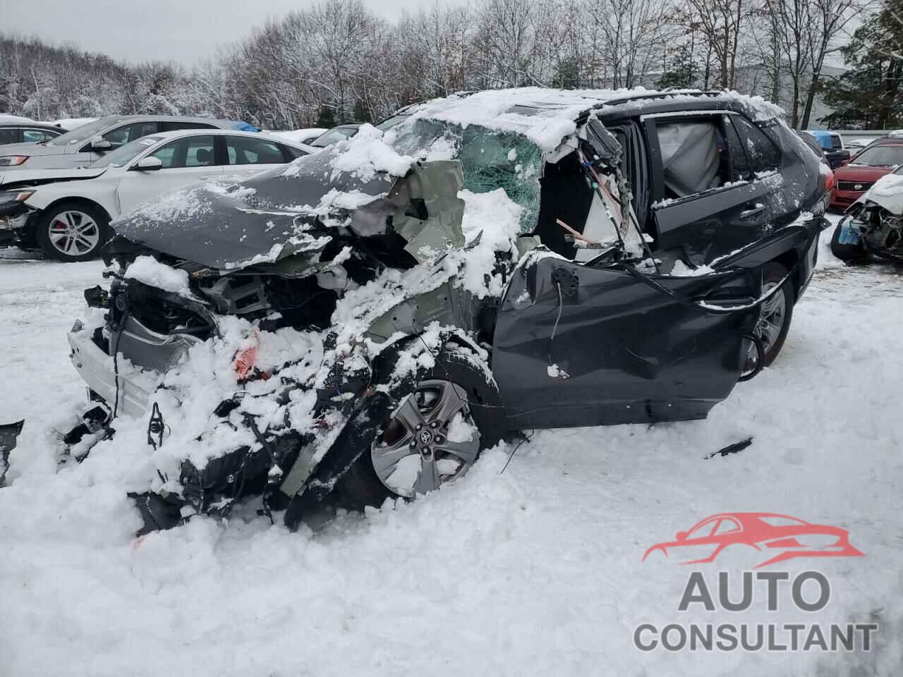 TOYOTA RAV4 2024 - 2T3P1RFV8RC394084