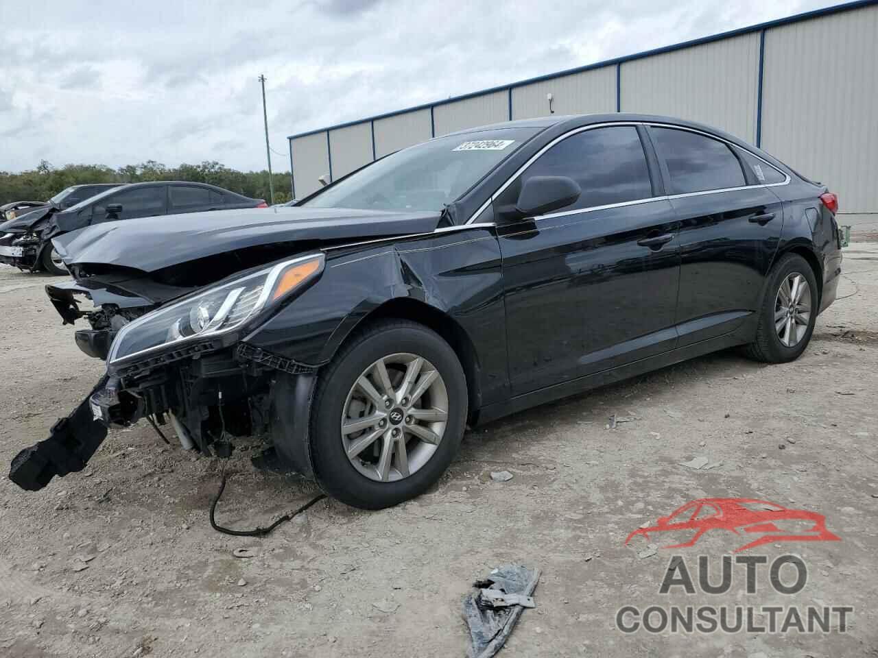 HYUNDAI SONATA 2016 - 5NPE24AF3GH321716