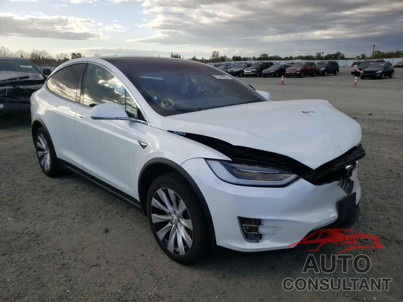 TESLA MODEL X 2019 - 5YJXCAE21KF161404