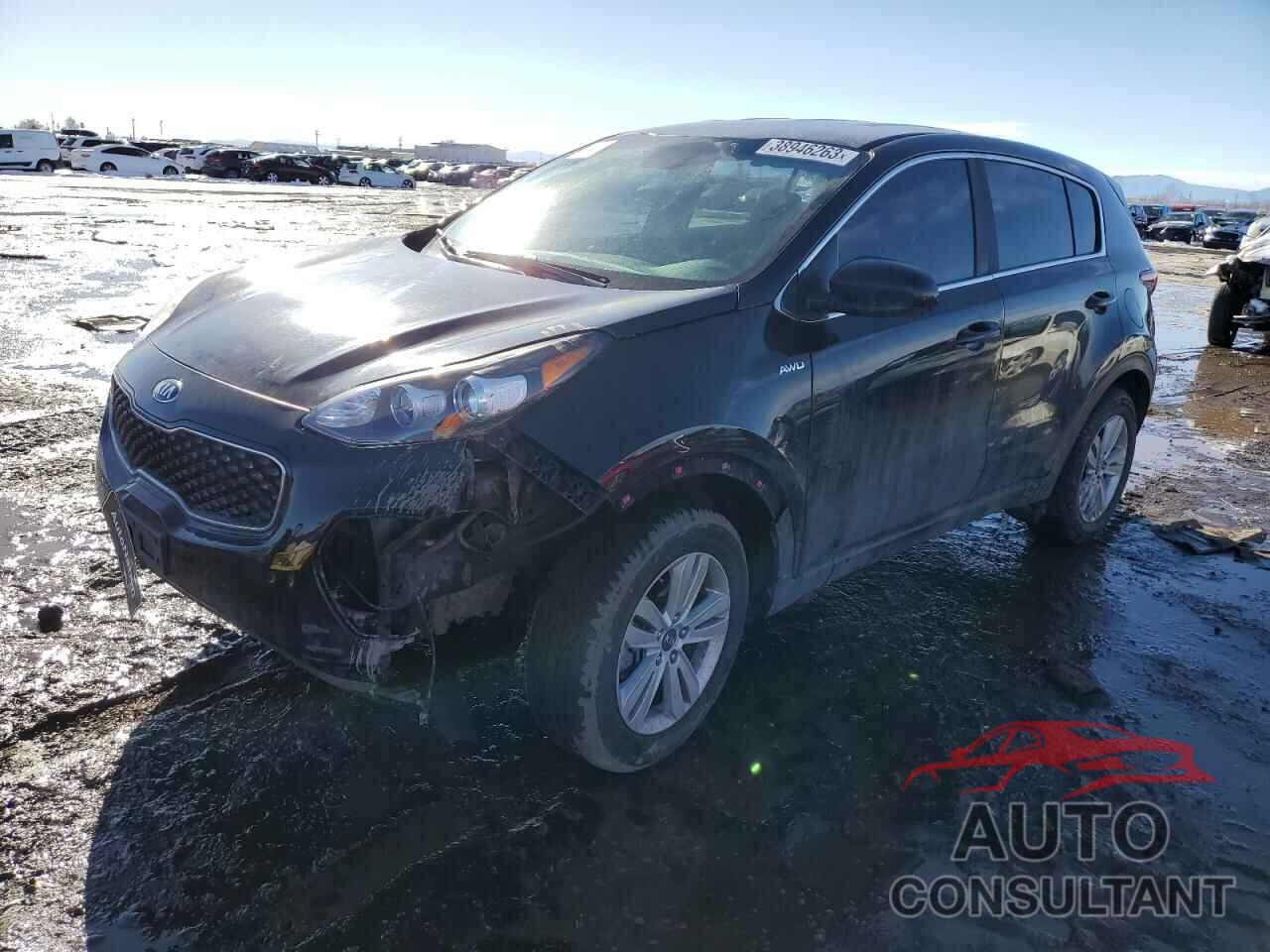 KIA SPORTAGE 2017 - KNDPMCAC8H7119088