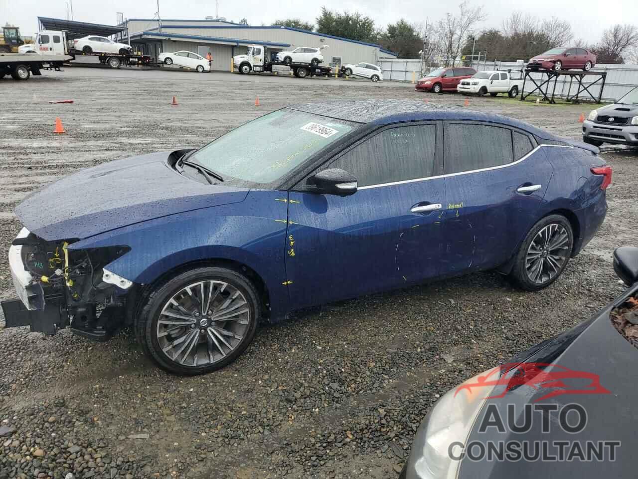 NISSAN MAXIMA 2017 - 1N4AA6AP7HC391342