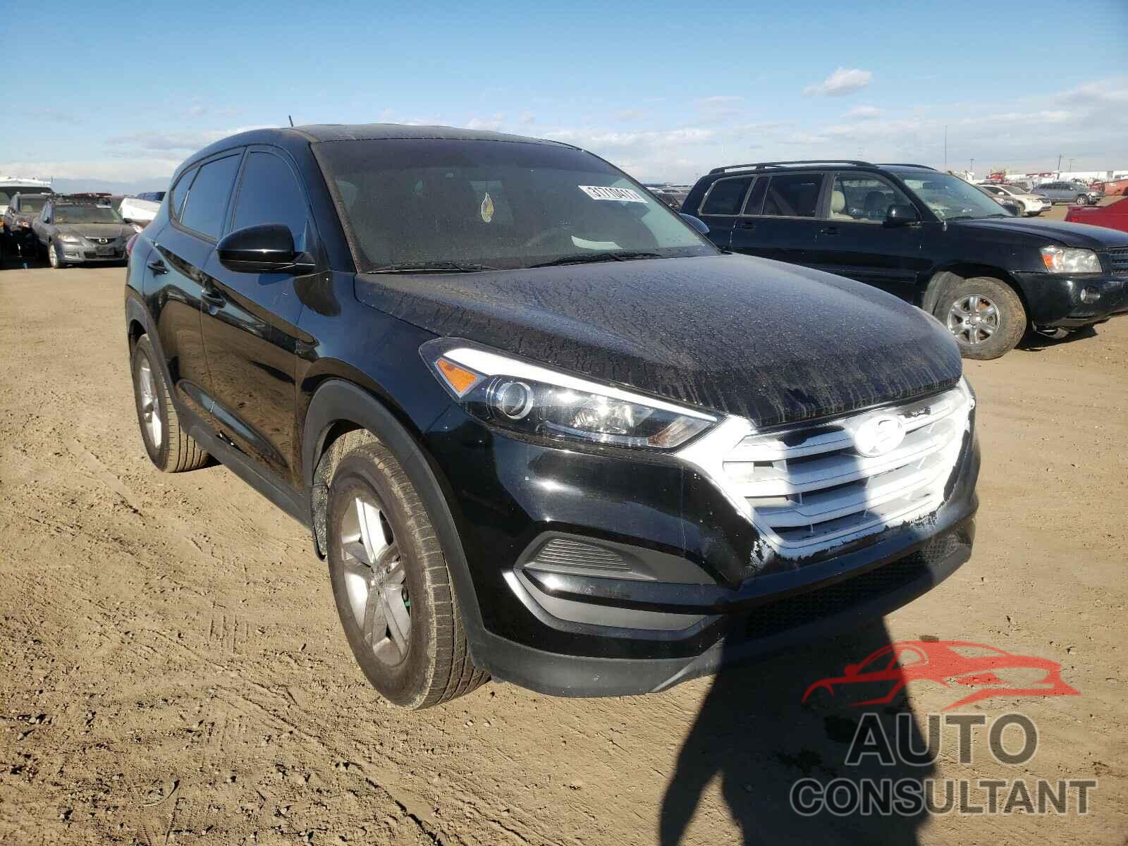HYUNDAI TUCSON 2017 - KM8J23A49HU274203