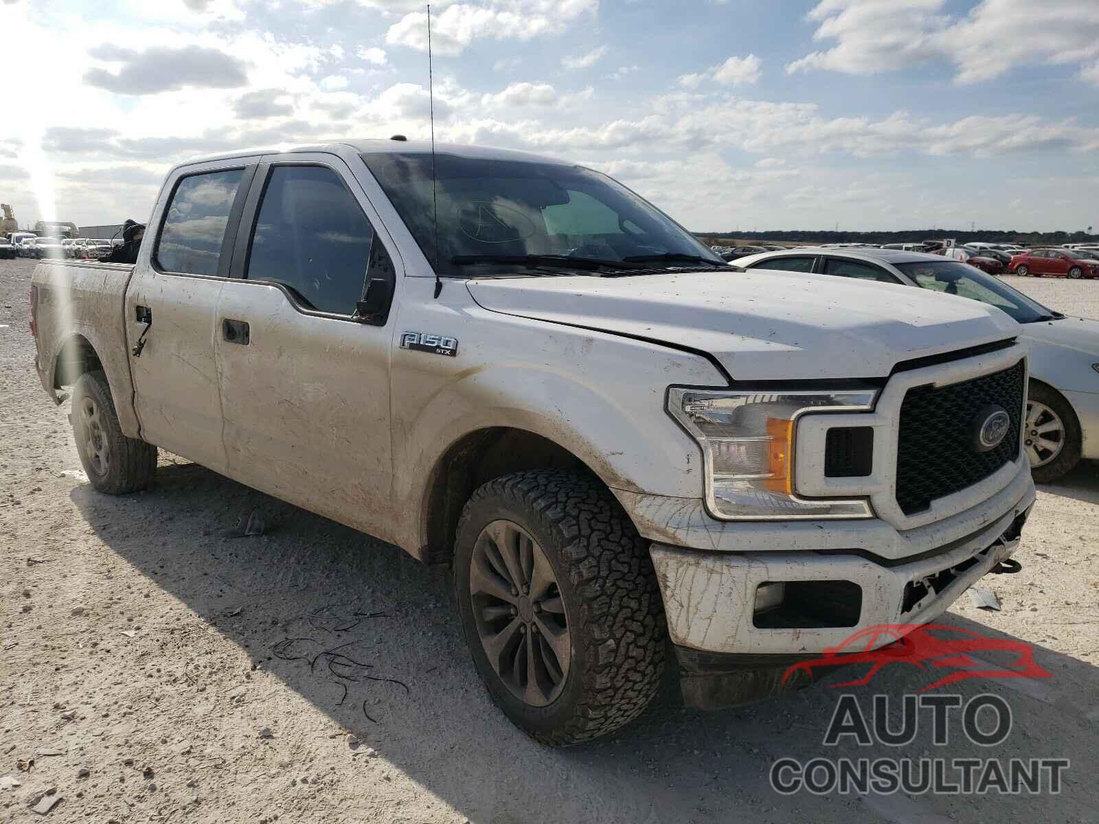 FORD F150 2019 - 1FTEW1EP8KKD71205