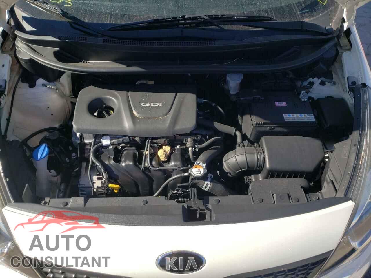 KIA RIO 2017 - KNADM4A34H6050606