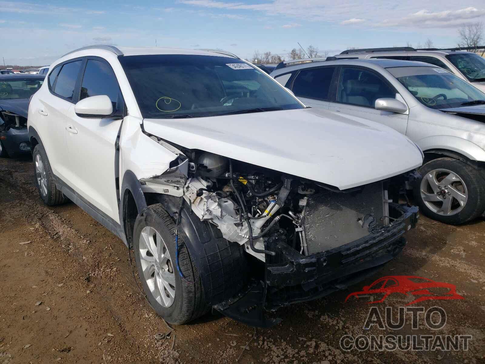HYUNDAI TUCSON 2019 - KM8J33A48KU902076