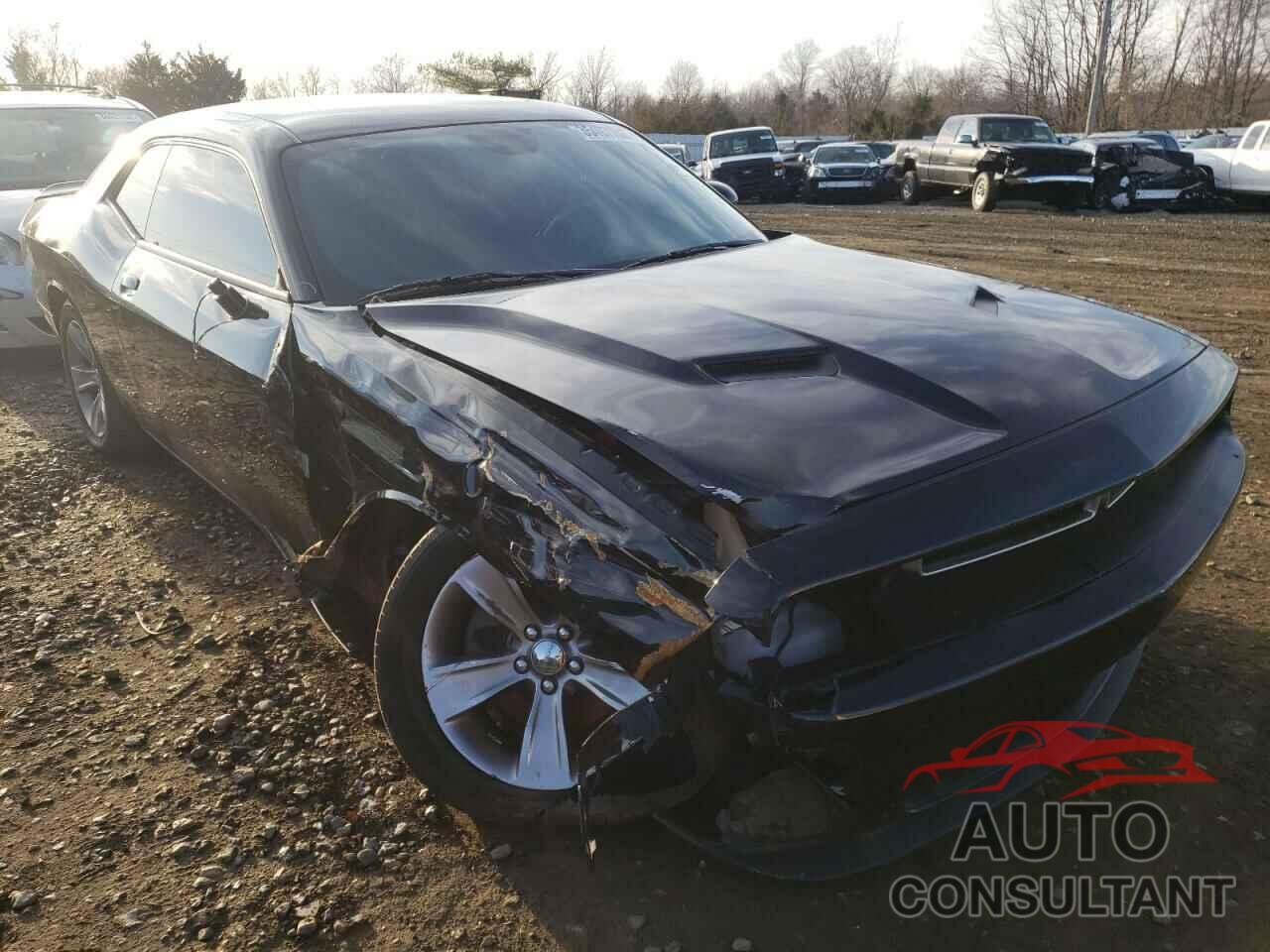 DODGE CHALLENGER 2019 - 2C3CDZAG5KH701685