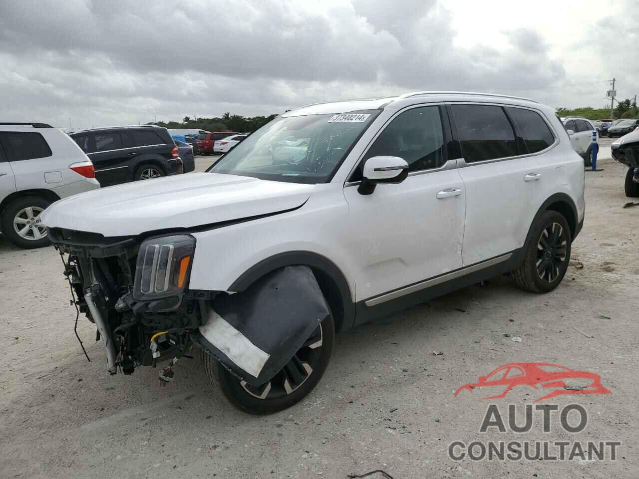 KIA TELLURIDE 2023 - 5XYP5DGC9PG358838