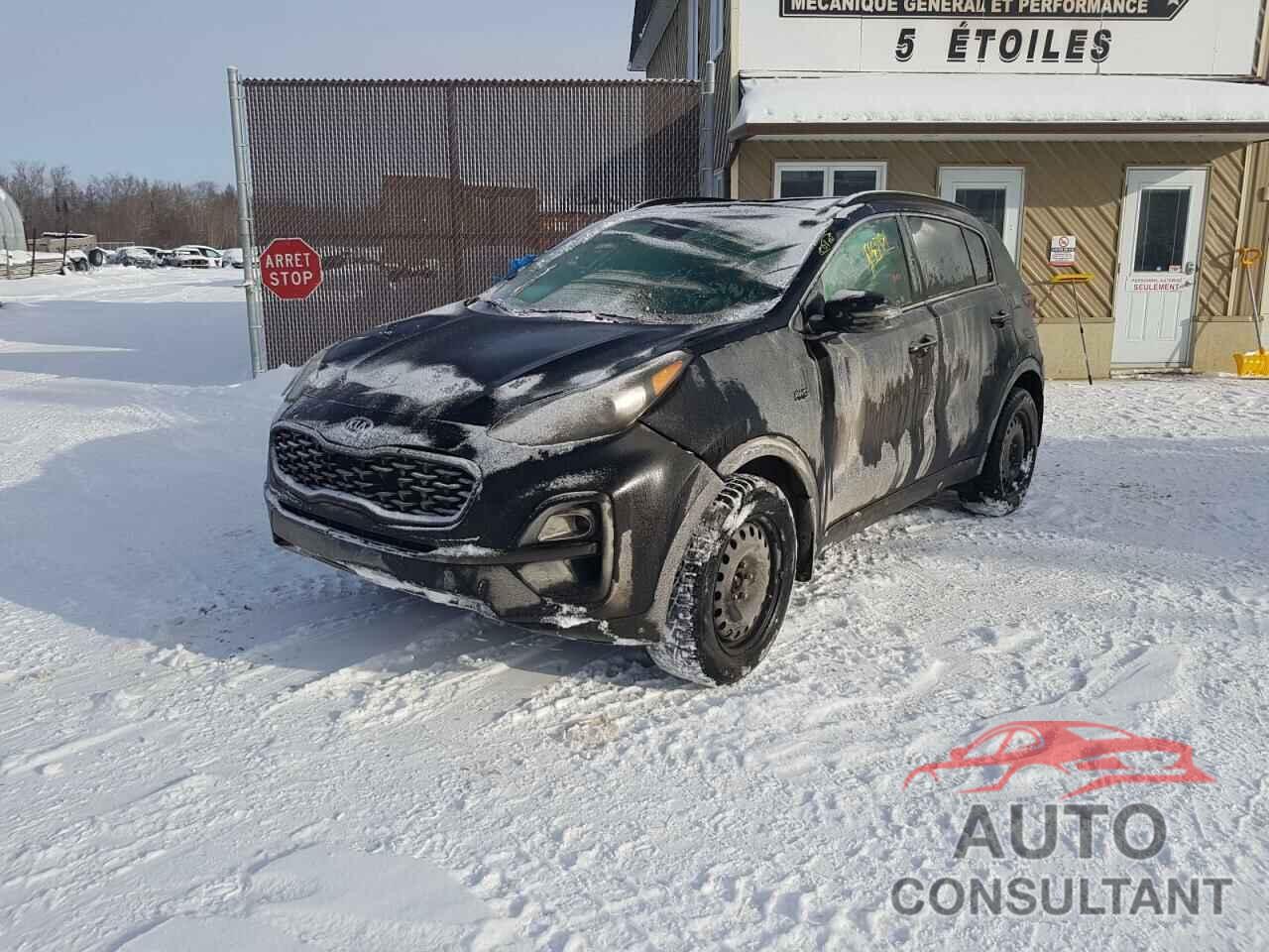 KIA SPORTAGE 2022 - KNDPNCAC2N7003586