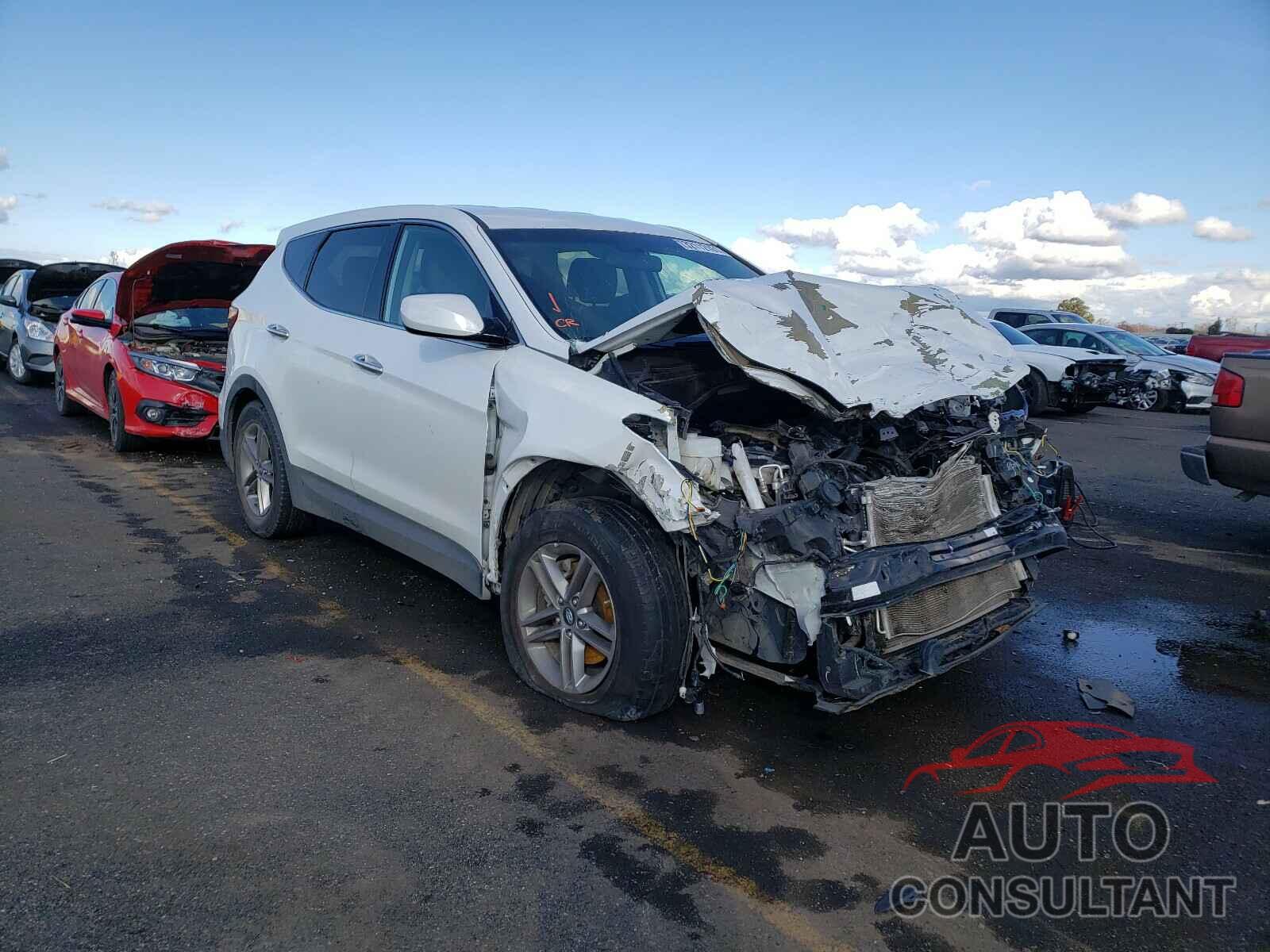 HYUNDAI SANTA FE 2017 - 5NMZTDLB6HH011583
