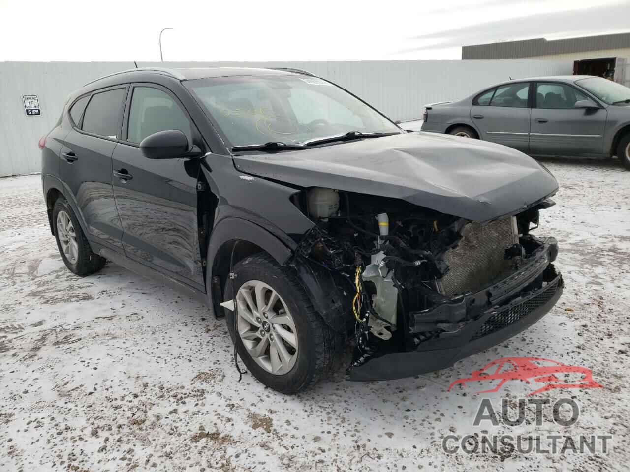 HYUNDAI TUCSON 2016 - KM8J3CA43GU257313
