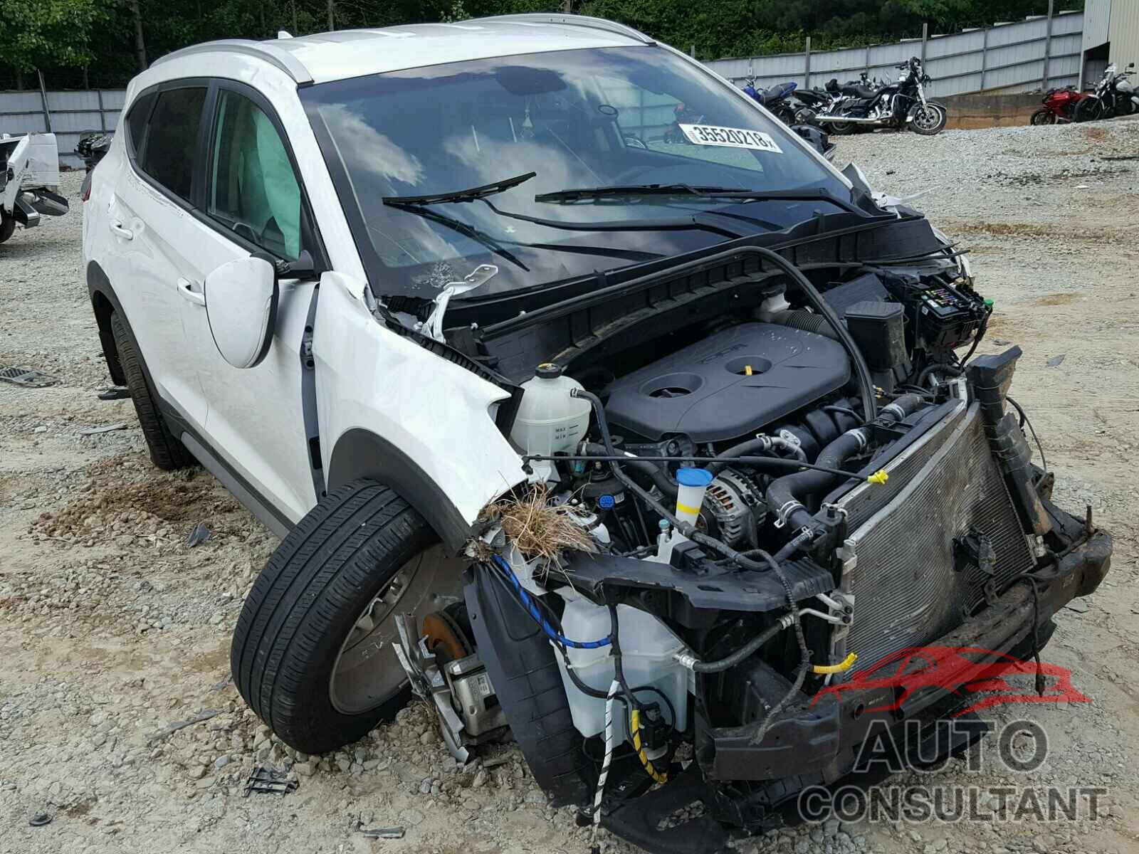 HYUNDAI TUCSON 2017 - KM8J33A48HU419423