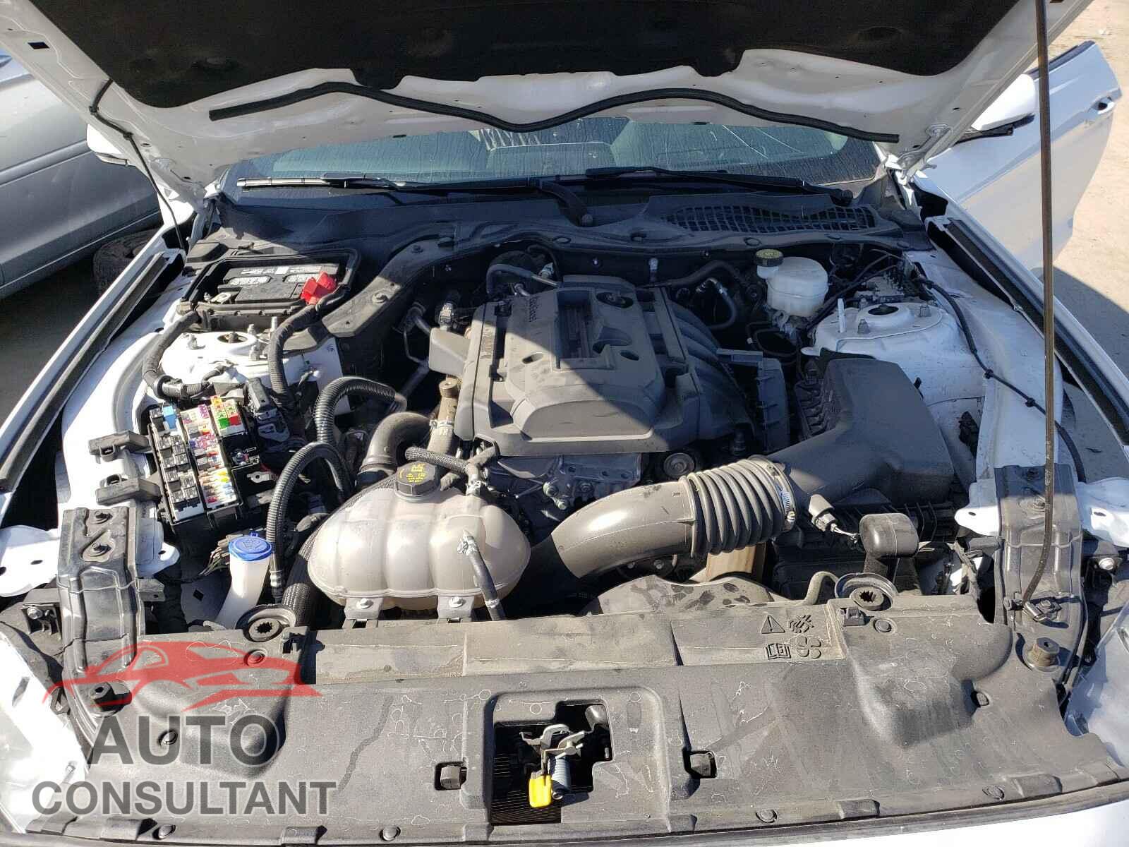 FORD MUSTANG 2020 - 1FA6P8TH3L5120247