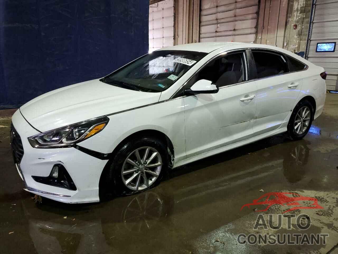 HYUNDAI SONATA 2019 - 5NPE24AF0KH820403