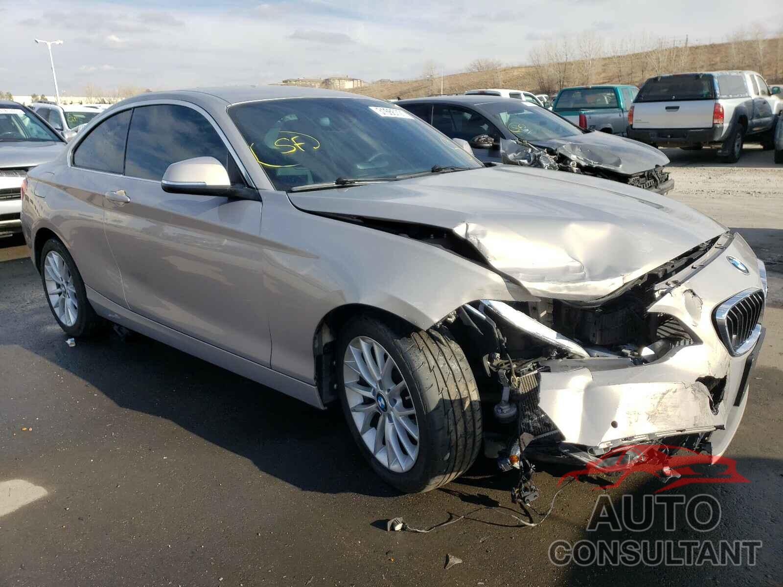 BMW 2 SERIES 2016 - WBA1F5C56GV343848