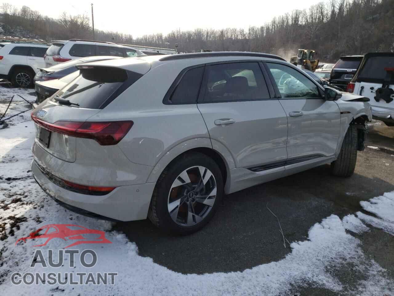 AUDI E-TRON 2021 - WDDZF4JB6HA041404