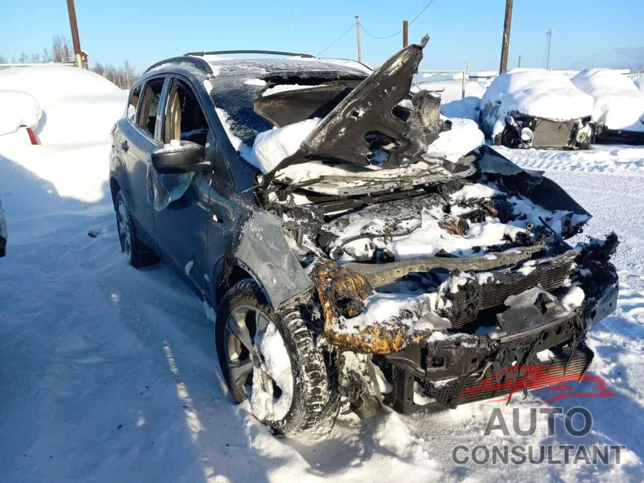 FORD ESCAPE 2017 - 1FMCU9G97HUC51947
