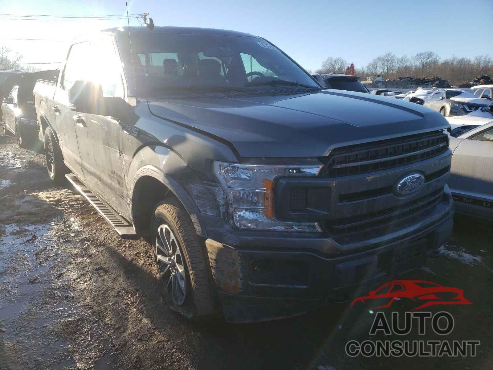 FORD F150 2019 - 1FTEW1EP2KFB32189