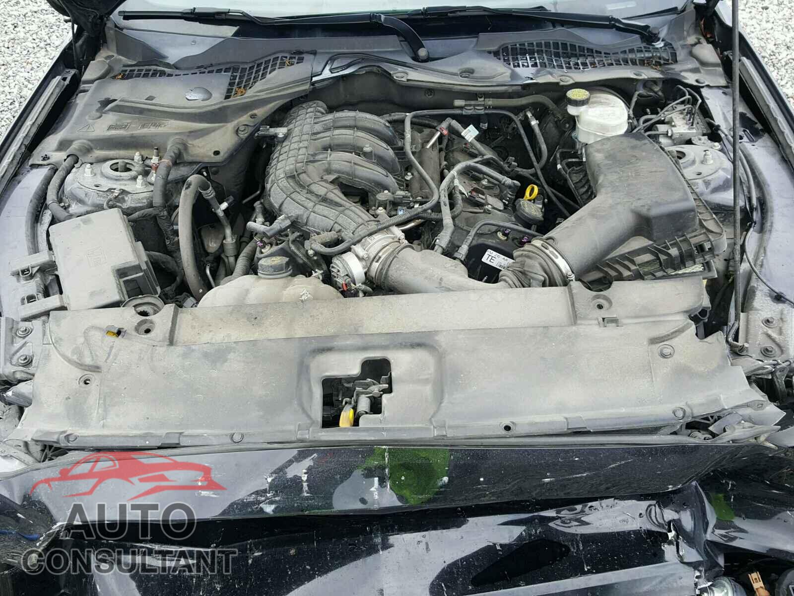 FORD MUSTANG 2015 - 1FA6P8AM6F5364026