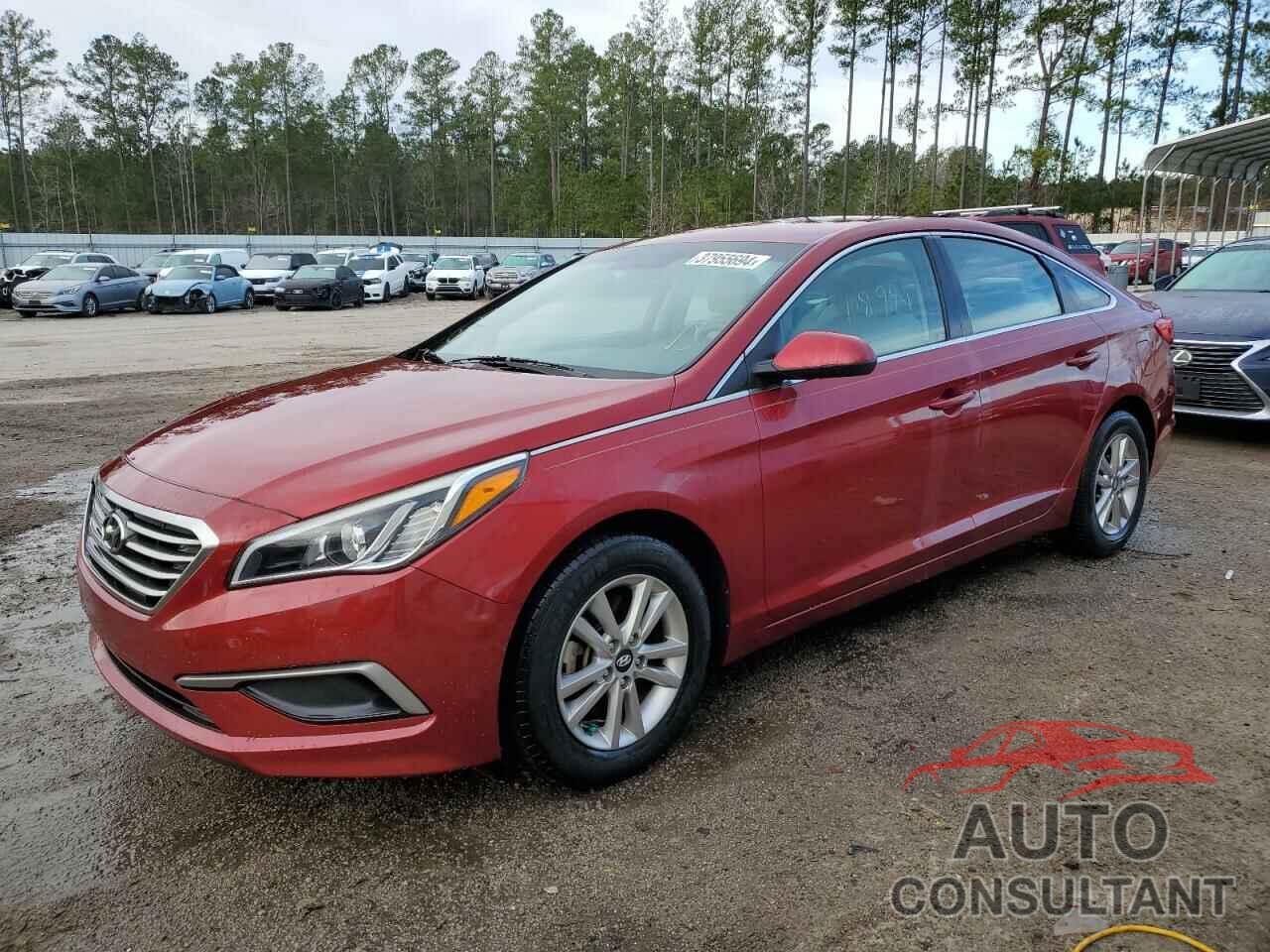 HYUNDAI SONATA 2016 - 5NPE24AF1GH398391