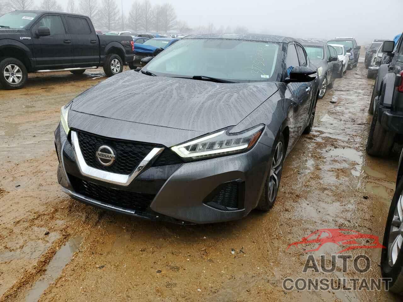 NISSAN MAXIMA 2019 - 1N4AA6AV9KC360504