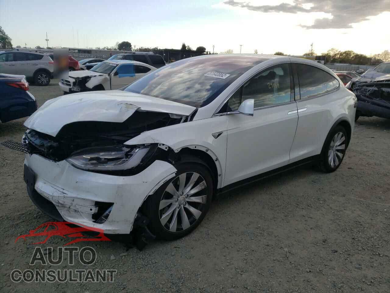 TESLA MODEL X 2019 - 5YJXCAE21KF161404