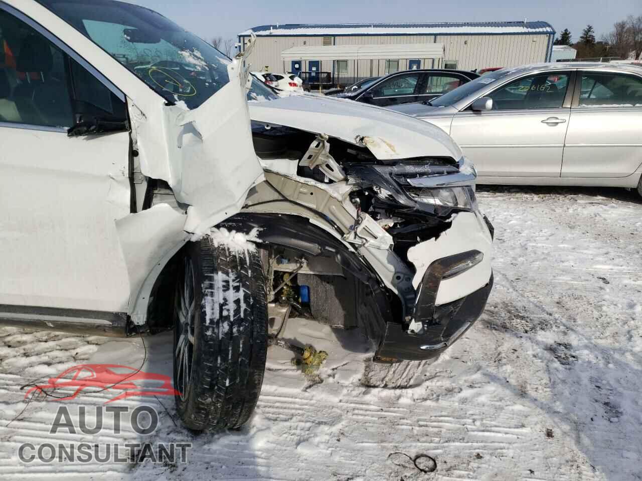 HONDA PILOT 2022 - KM8K33A52KU202650