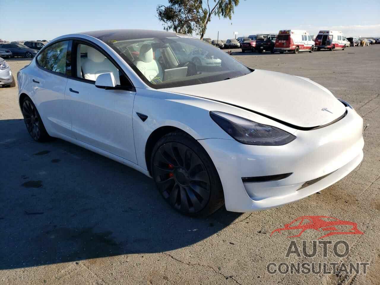 TESLA MODEL 3 2021 - 5YJ3E1EC3MF020225