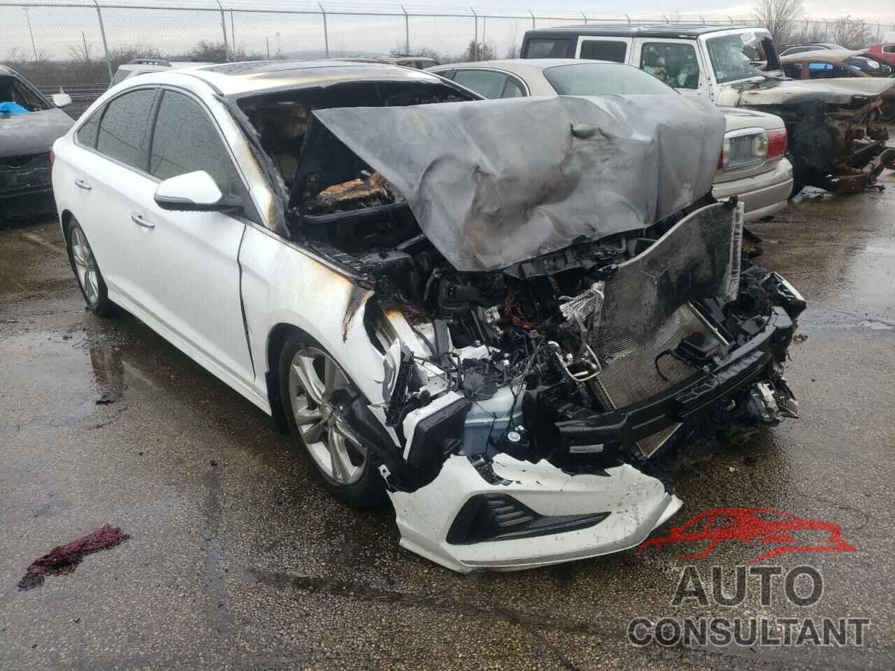 HYUNDAI SONATA 2018 - 5NPE34AF2JH691785
