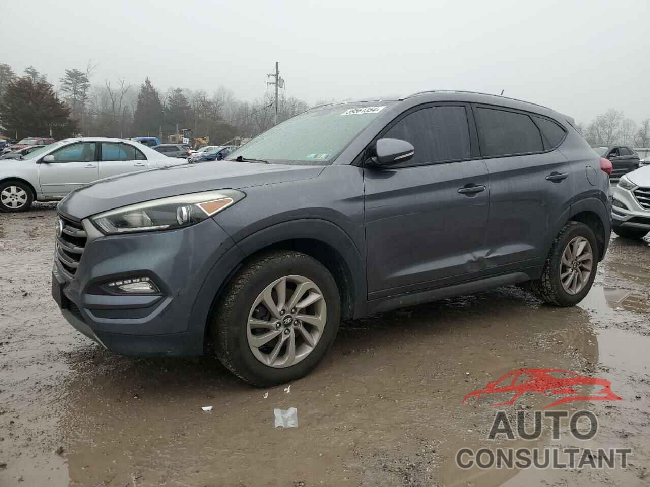 HYUNDAI TUCSON 2016 - KM8J33A28GU222197