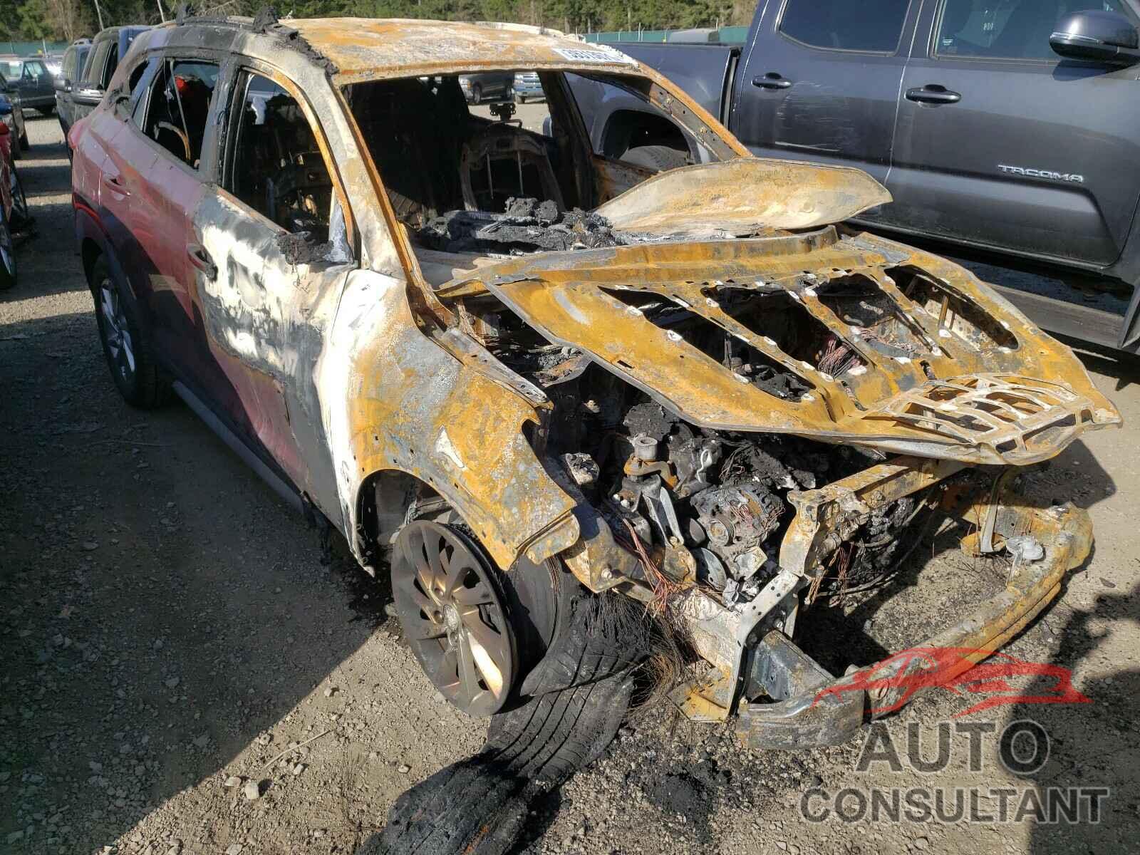 HYUNDAI TUCSON 2017 - KM8J3CA42HU402195