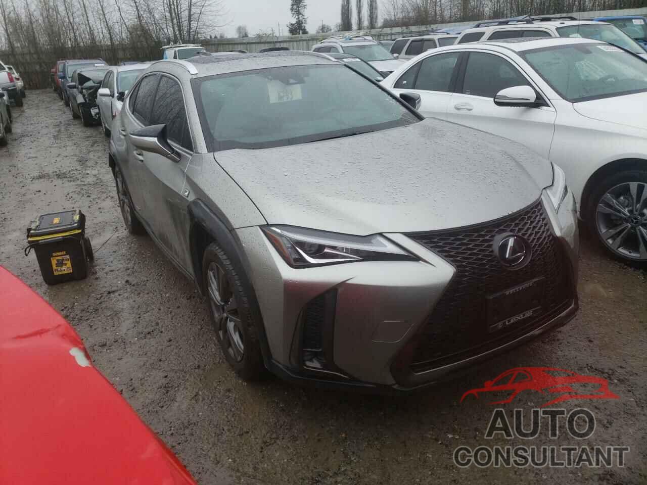 LEXUS UX 250H 2019 - JTHU9JBH4K2002209