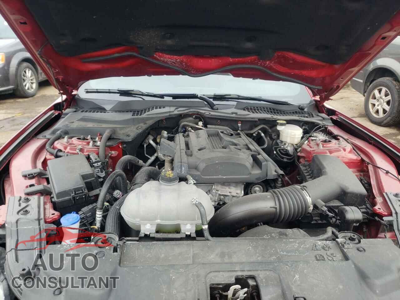 FORD MUSTANG 2020 - 1FA6P8TH2L5189298